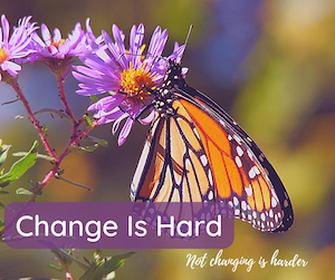 Change is Hard, photo of a Monarch Butterfly on a purple flower
