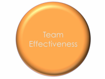 Team Effectiveness Orange Button